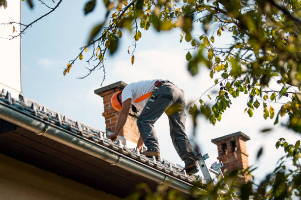 Best Roof Gutter Cleaning  in Wilmore, KY